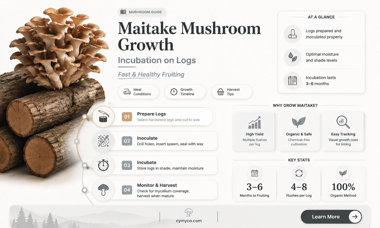 what is the incubation period for maitake mushroom on log