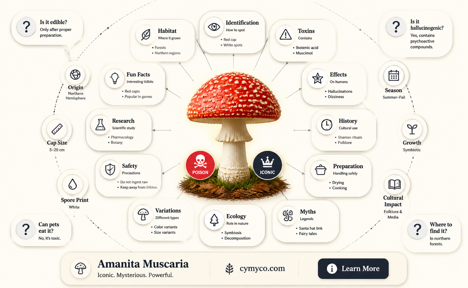 what is amanita muscaria