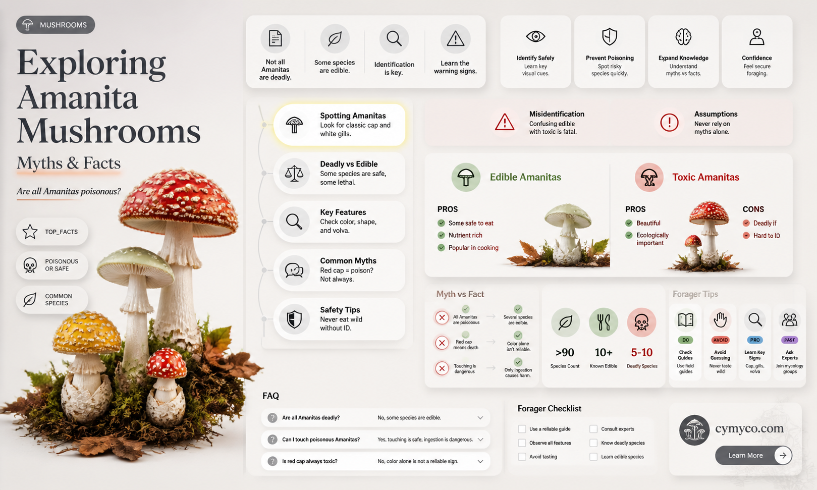 are all amanitas poisonous