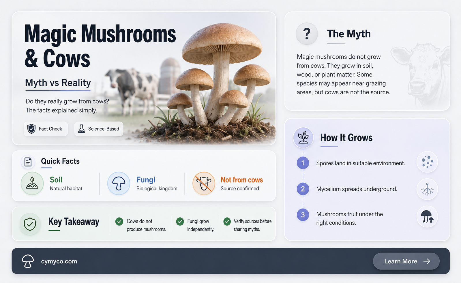 where do magic mushrooms come from cows
