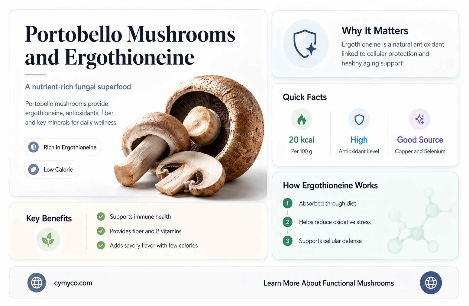 do portobella have ergothioneine