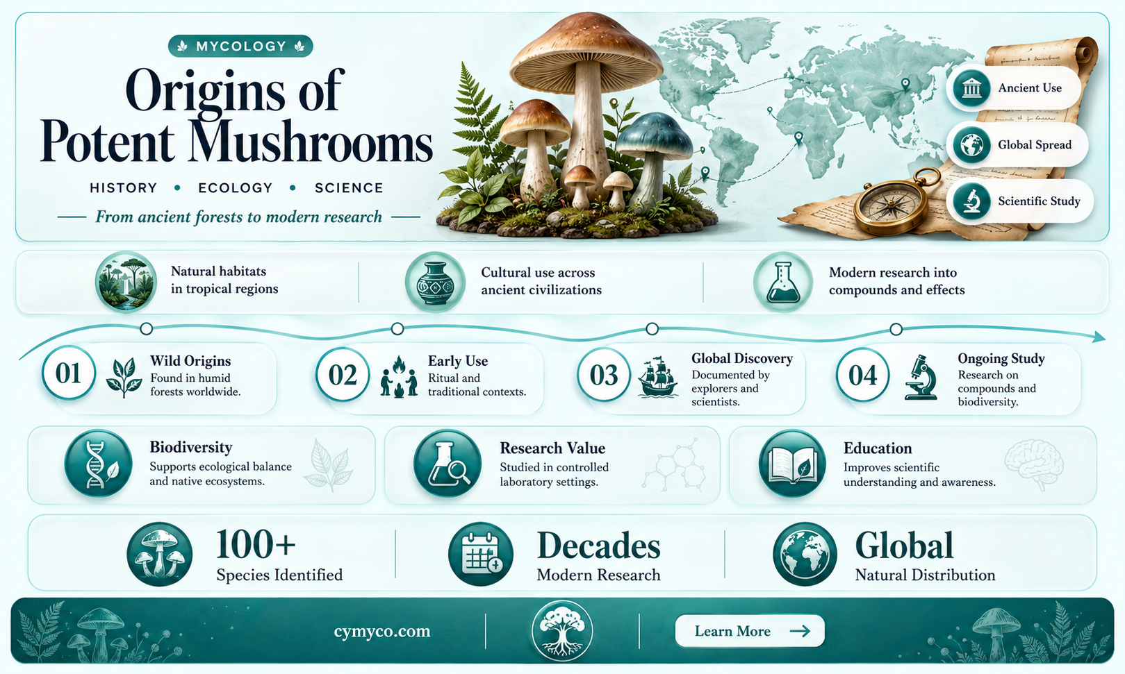 where do the best magic mushrooms come from