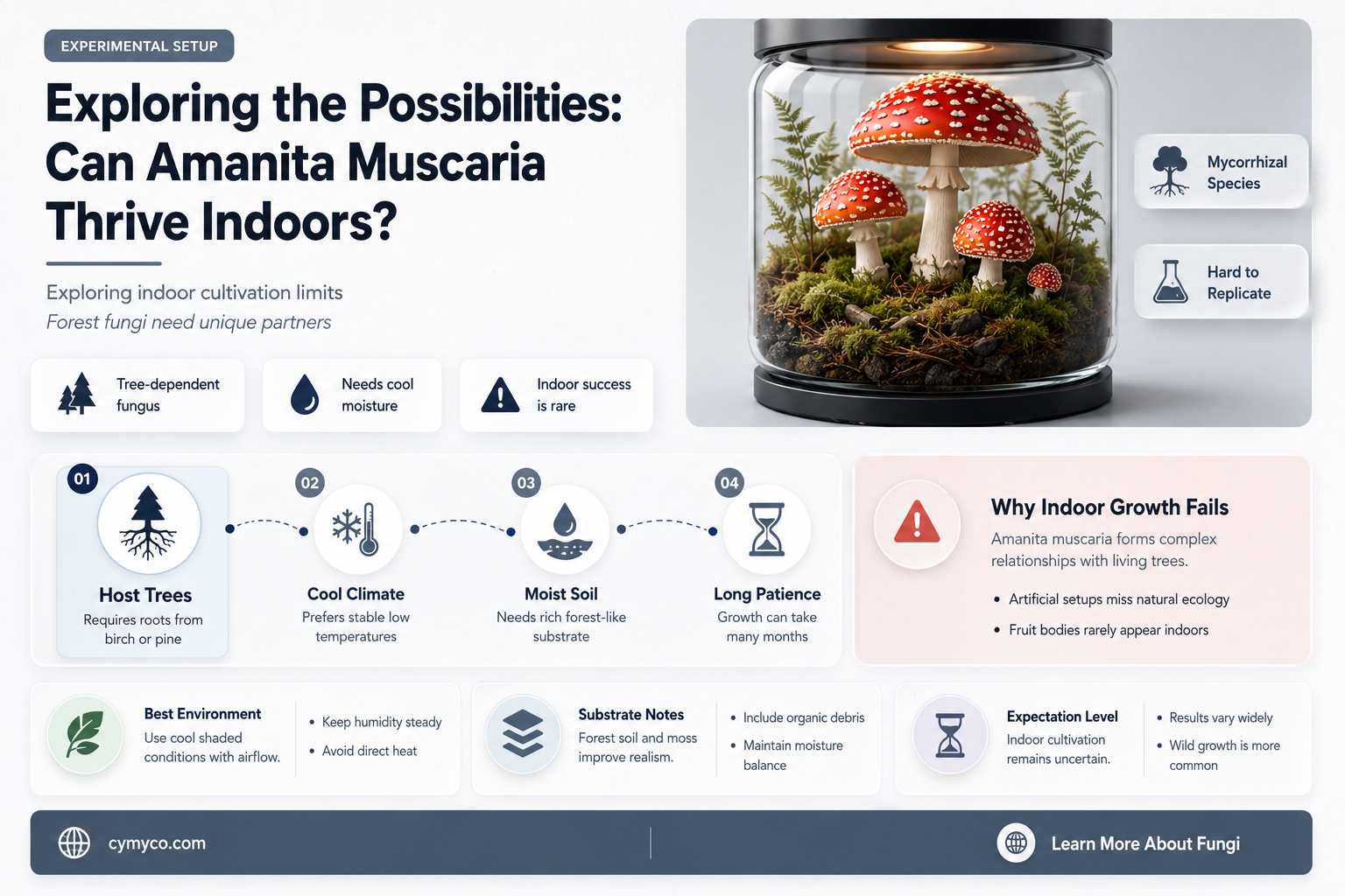 can amanita muscaria be grown indoors