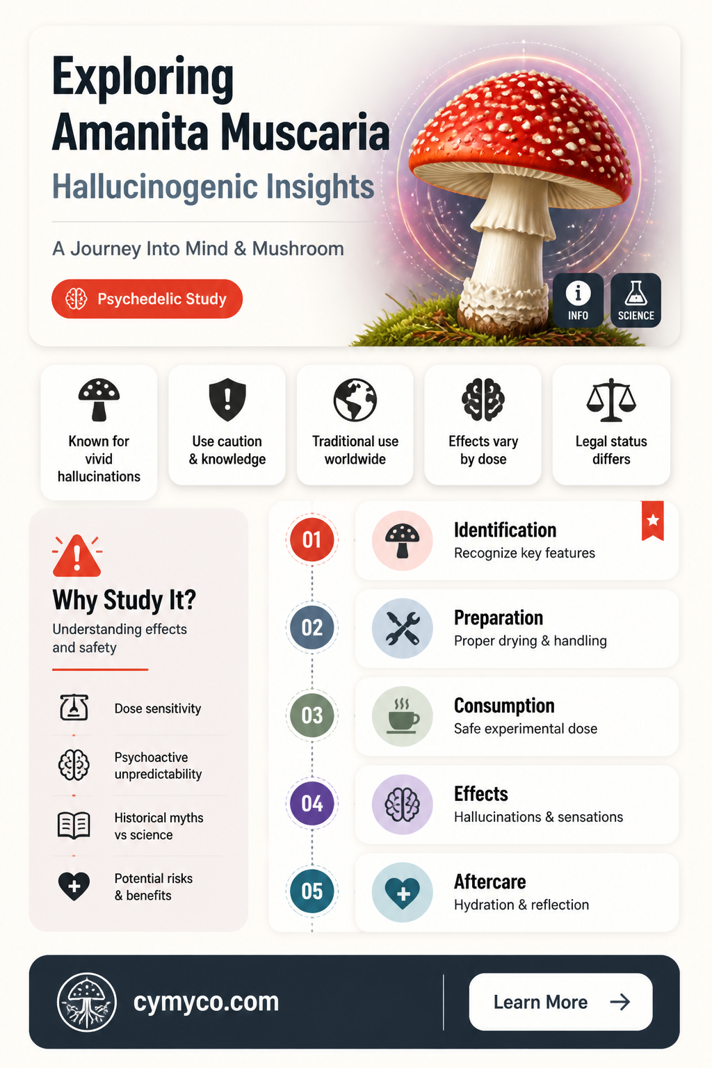 are amanita muscaria hallucinations strong