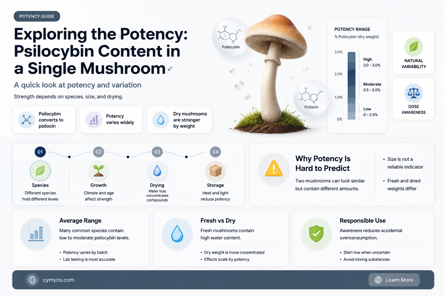 how much mg of psilcybin are in a single mushroom