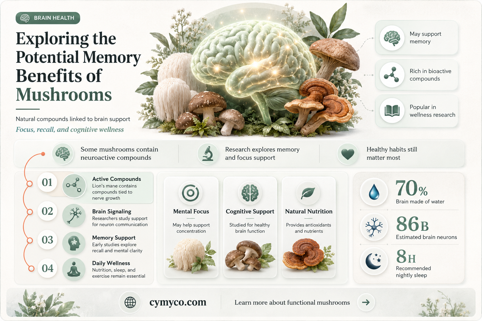 can mushrooms help memory
