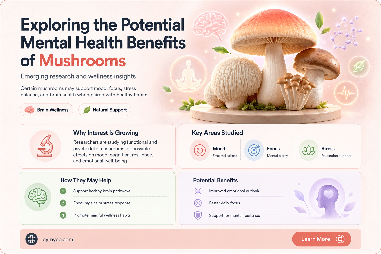 can mushrooms help mental health