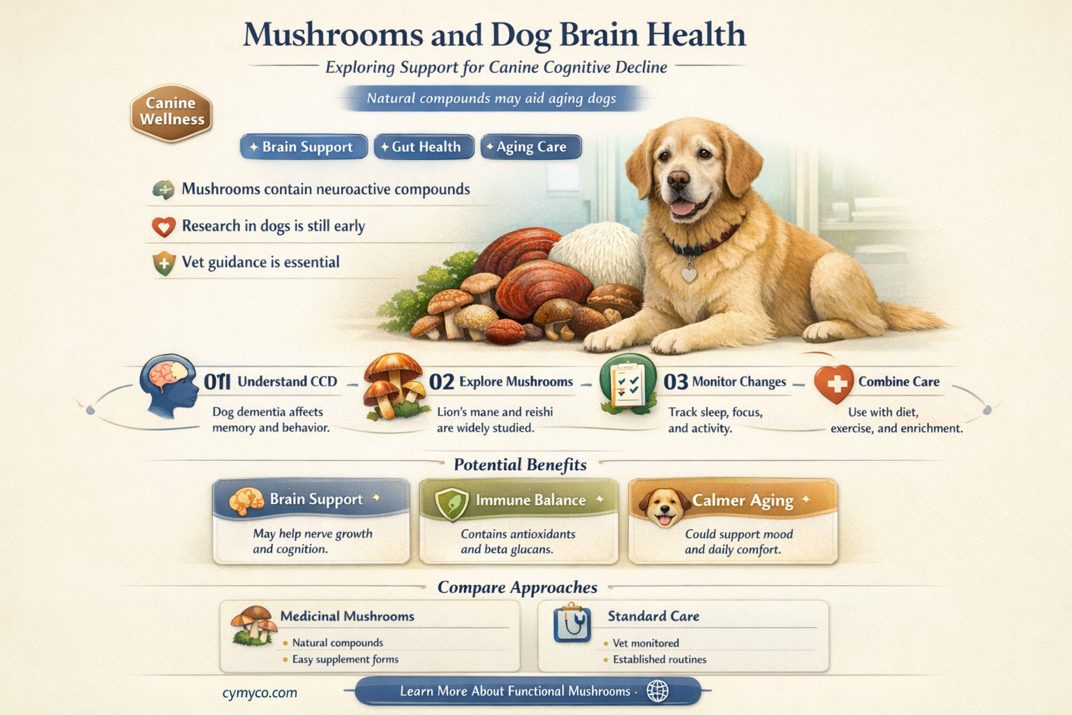can mushrooms help dog dementia