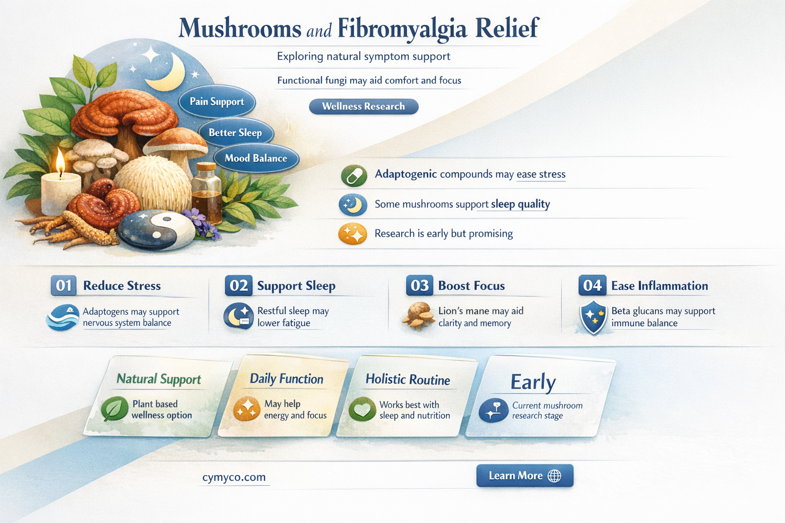 can mushrooms help fibromyalgia