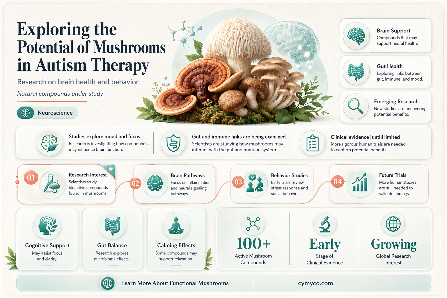 can mushrooms help with autism