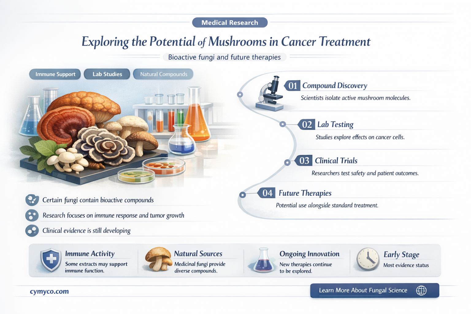 can mushrooms help fight cancer