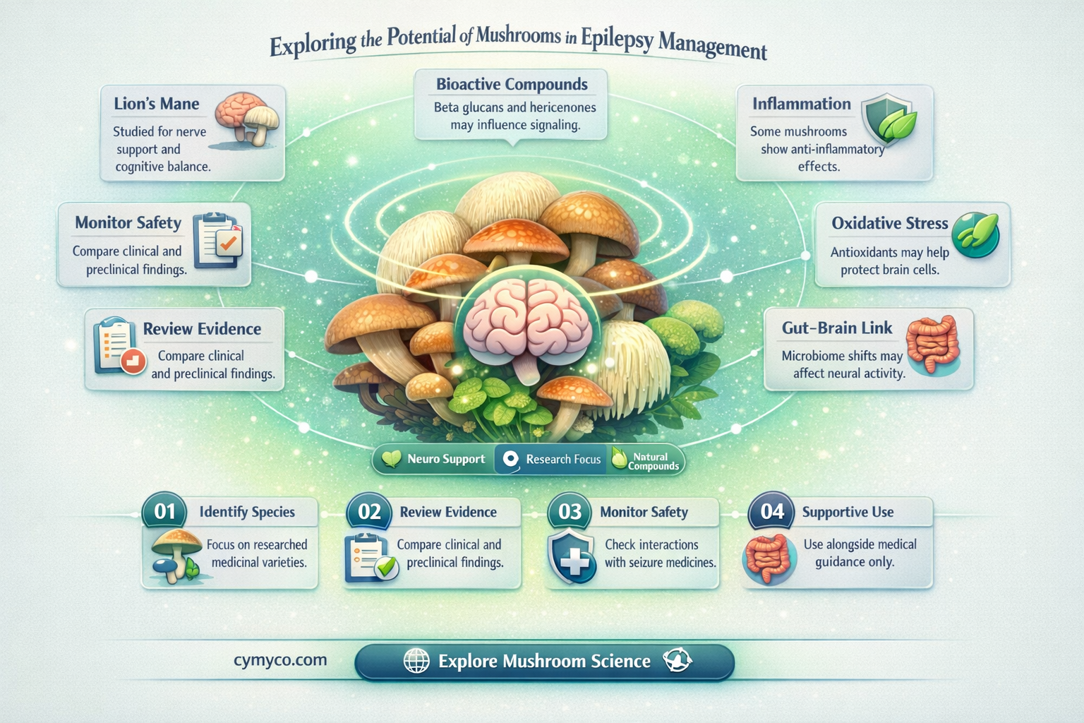 can mushrooms help epilepsy