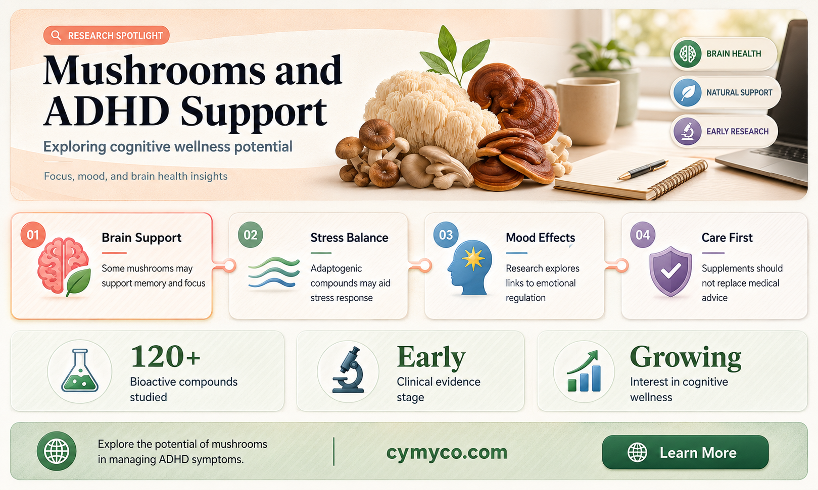 can mushrooms help adhd