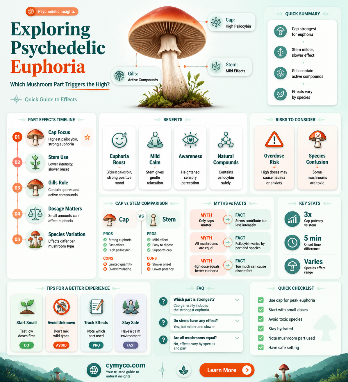 what part of mushroom gets you high