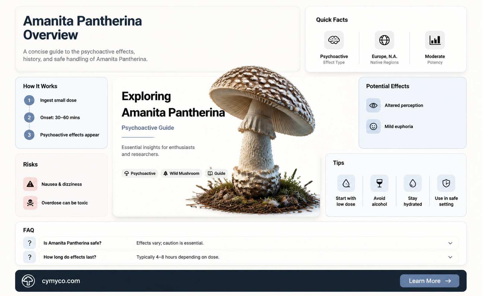 are amanita pantherus drugs