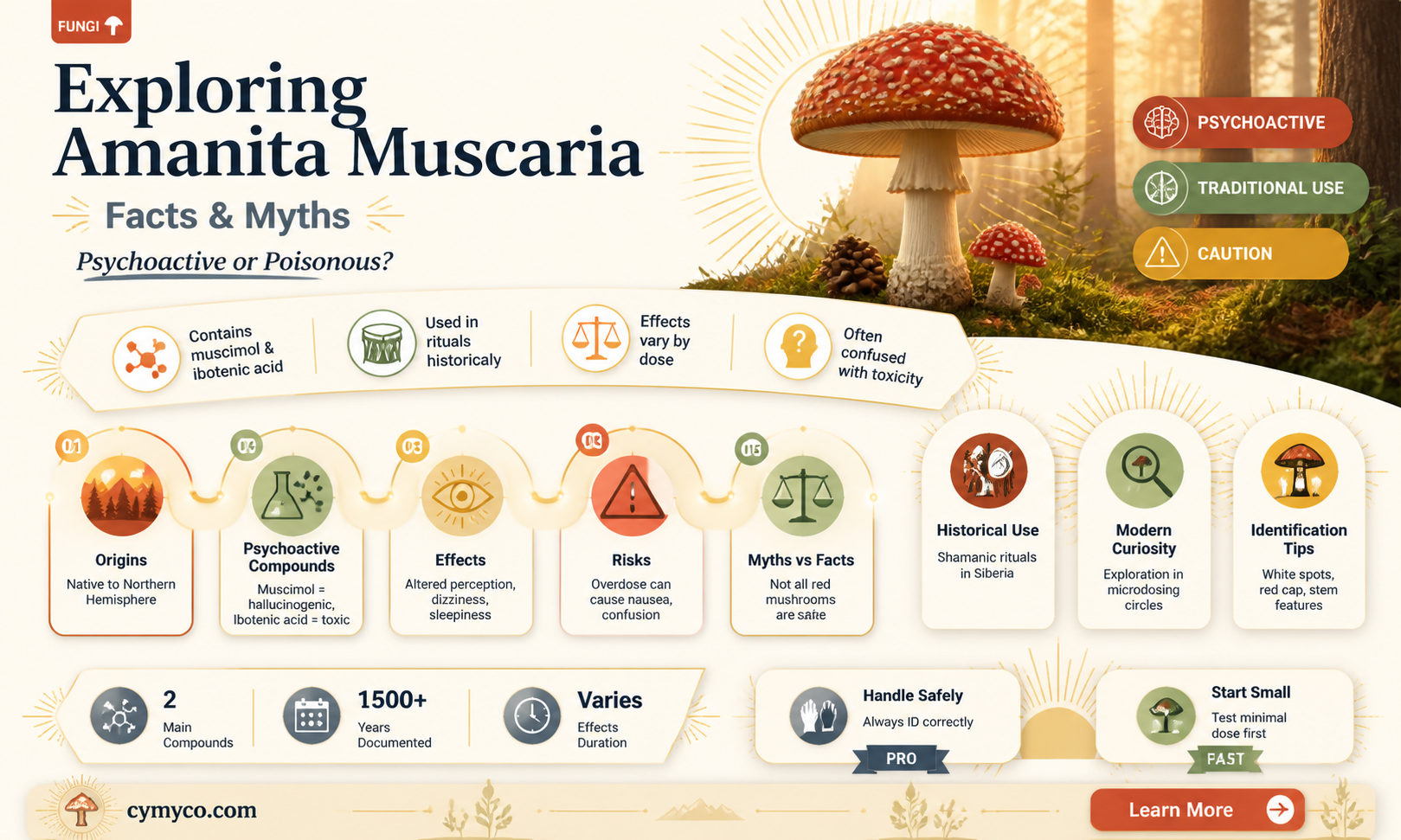 are amanita muscaria psychoactive