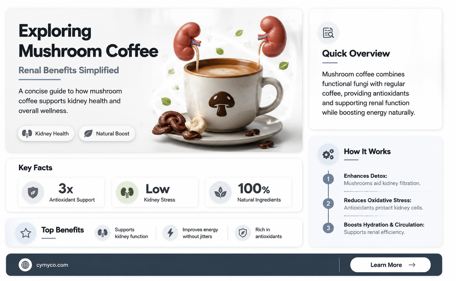 is mushroom coffee good for your kidneys