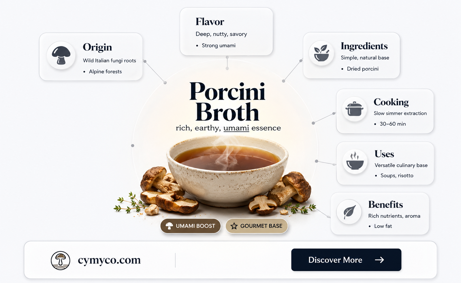what is porcini broth