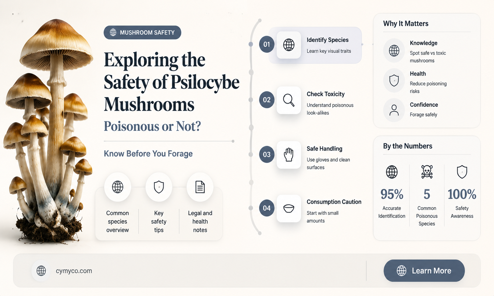 are psilocybe mushrooms poisonous