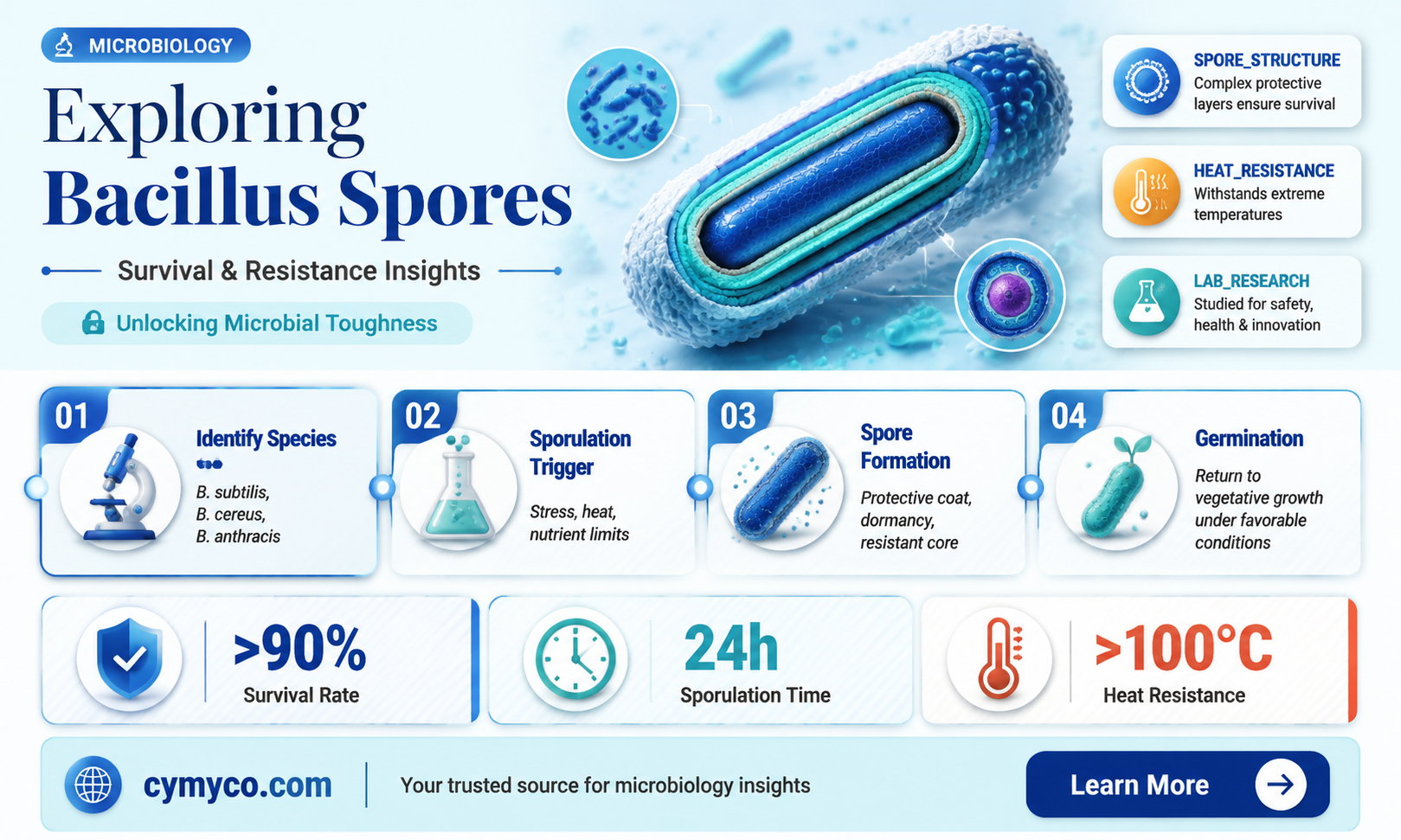 are all bacillus spore forming