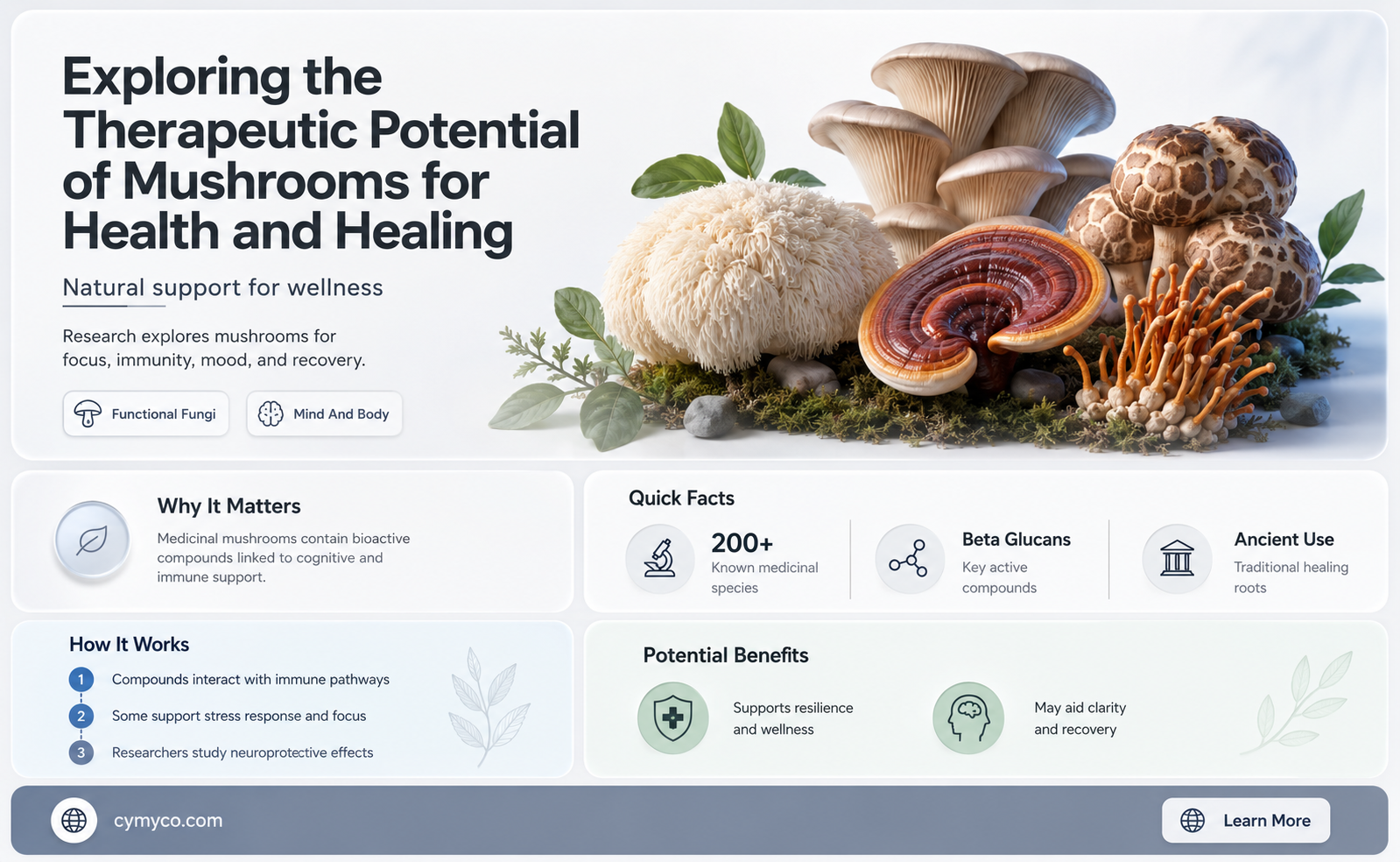 can mushrooms help people who had or have had
