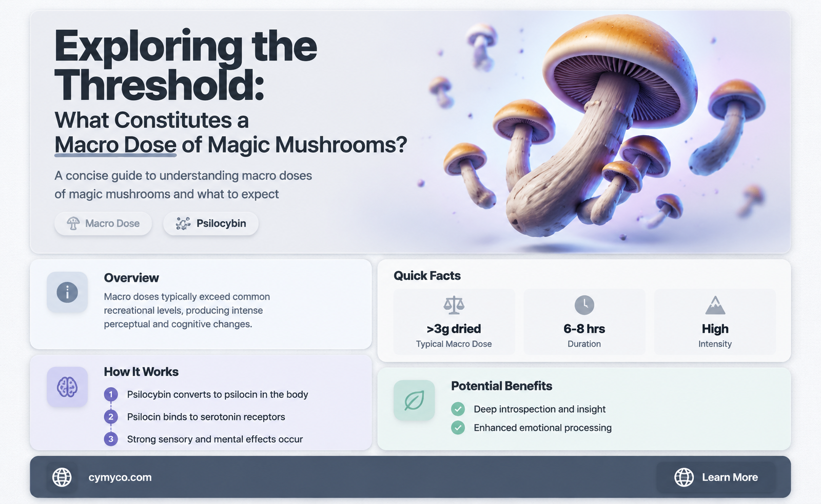 how much magic mushrooms is a macro dose
