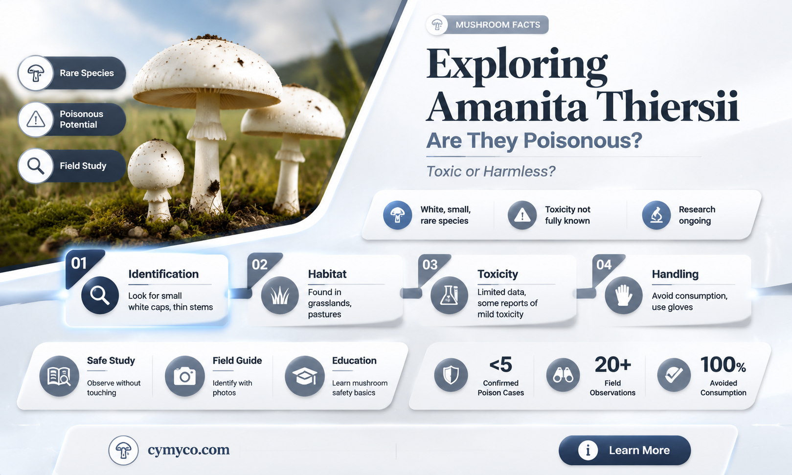 are amanita thiersii poisonous