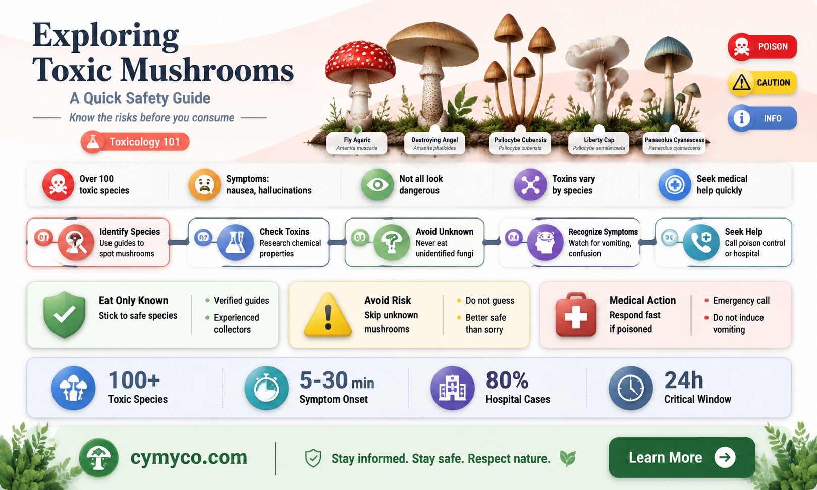 are hallucinagenic mushrooms poisonous