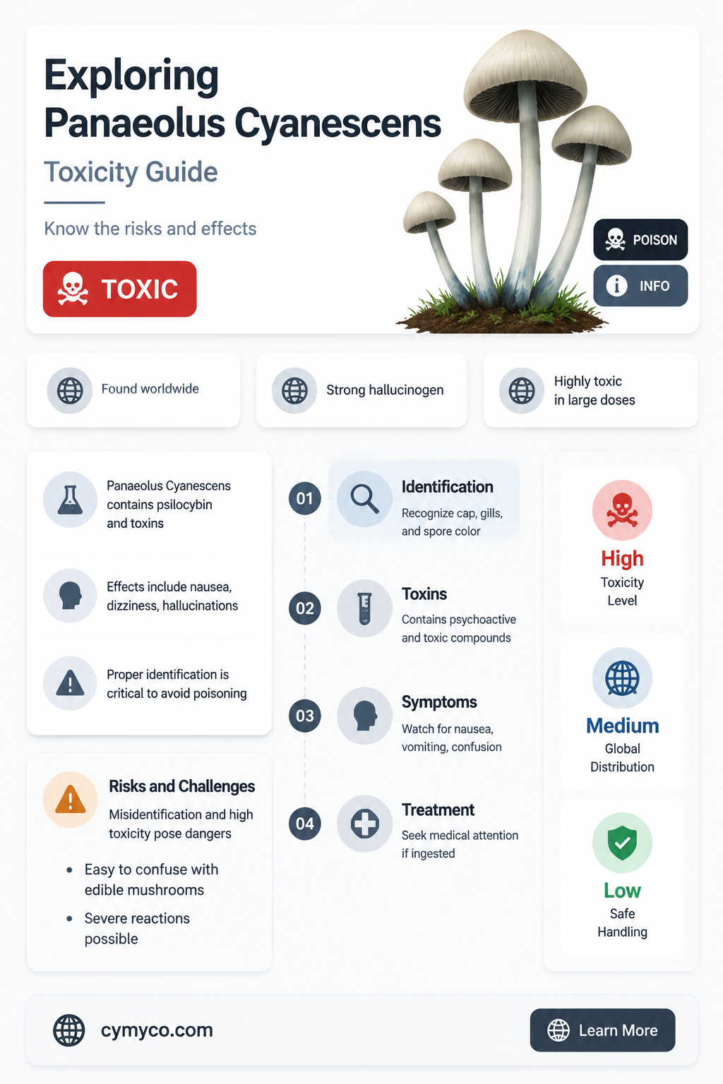 are panaeolus cyanescens mushrooms poisonous