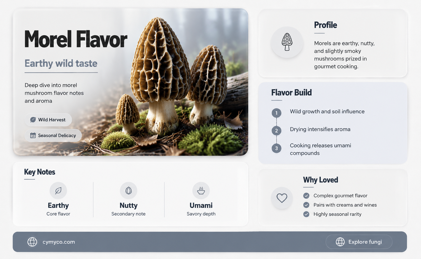 what do morels taste like