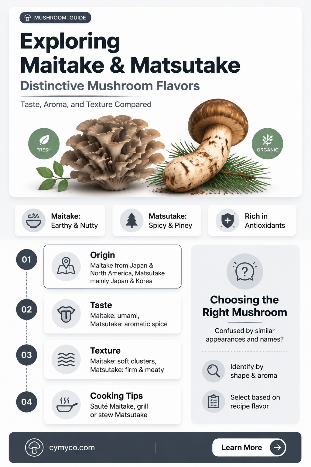what is the difference between maitake and matsutake