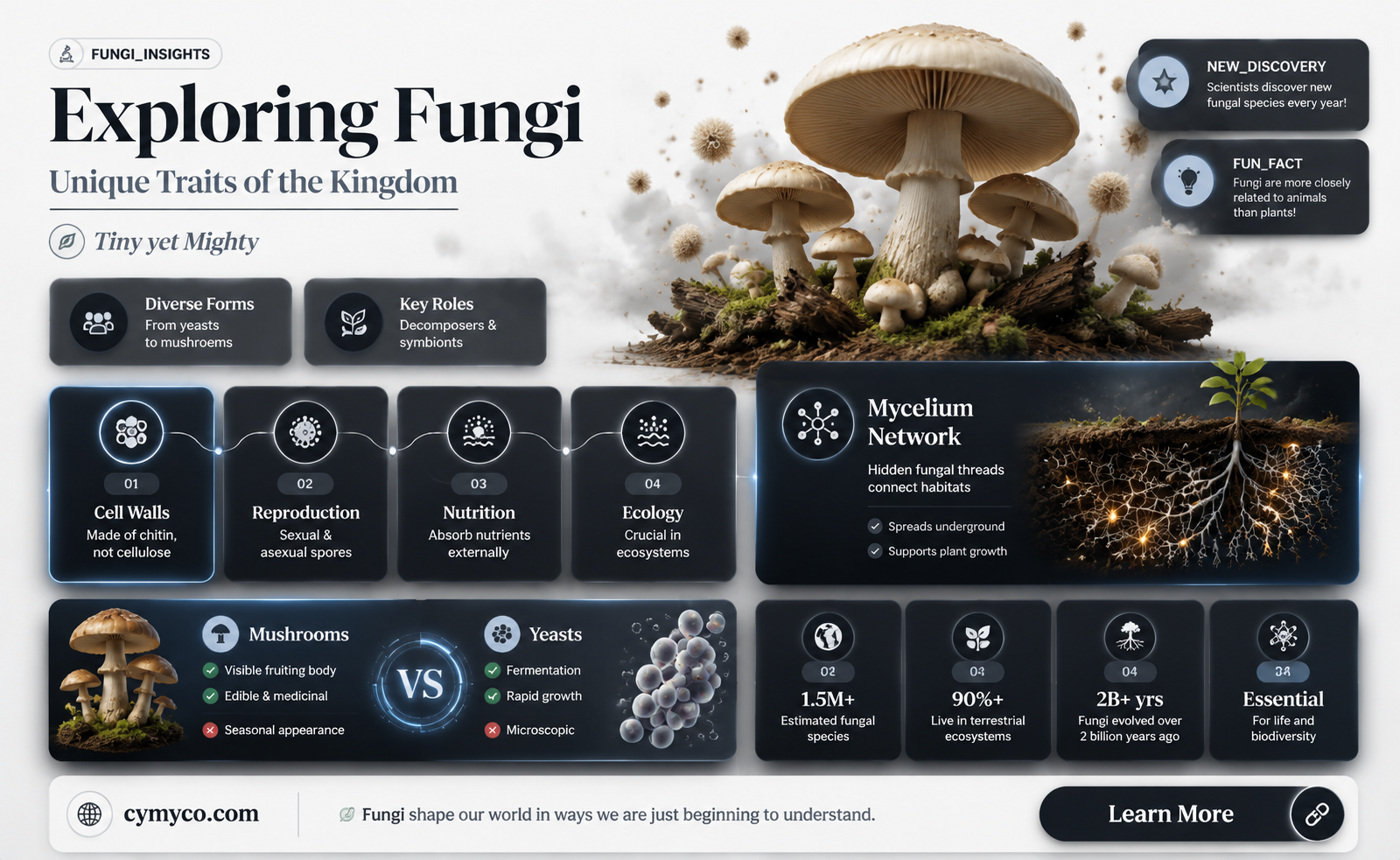 what is the outstanding characteristic of the kingdom fungi