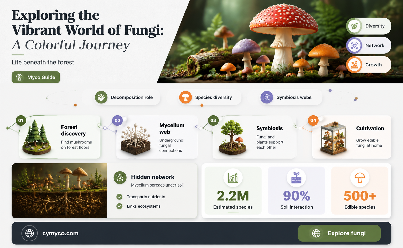 what color is fungi