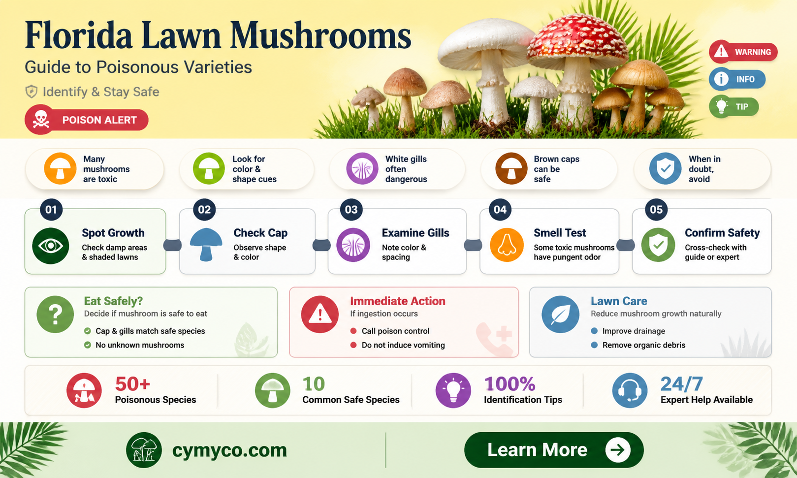 are florida lawn mushrooms poisonous