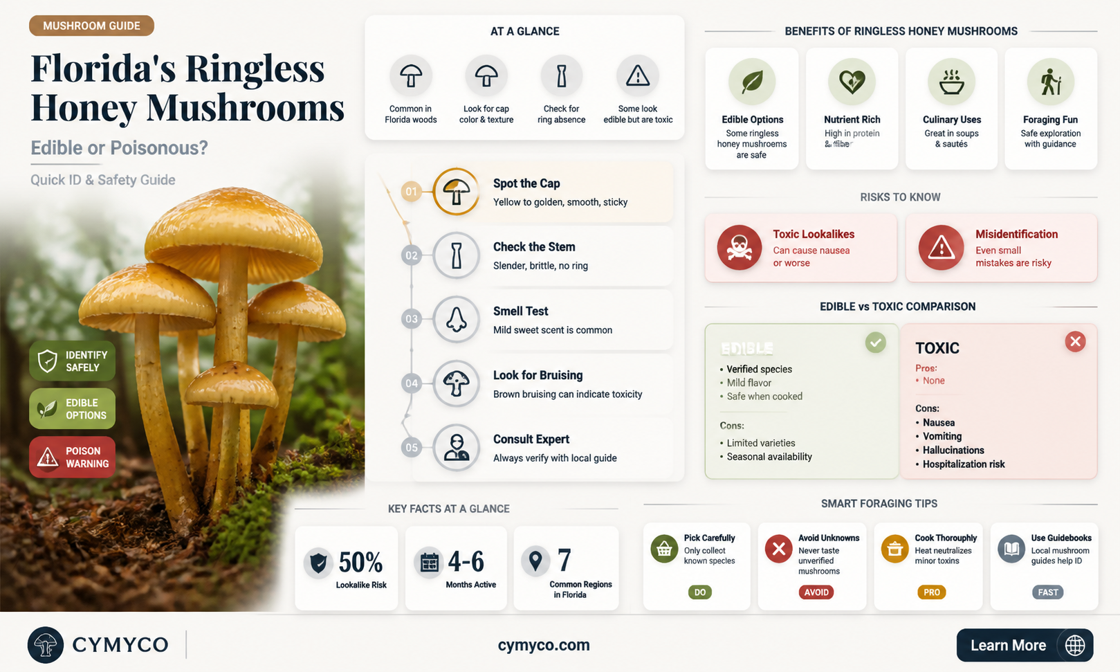 are florida ringless honey mushrooms poisonous