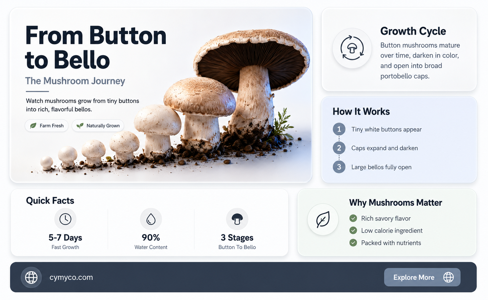 do button mushrooms turn into portobello mushrooms