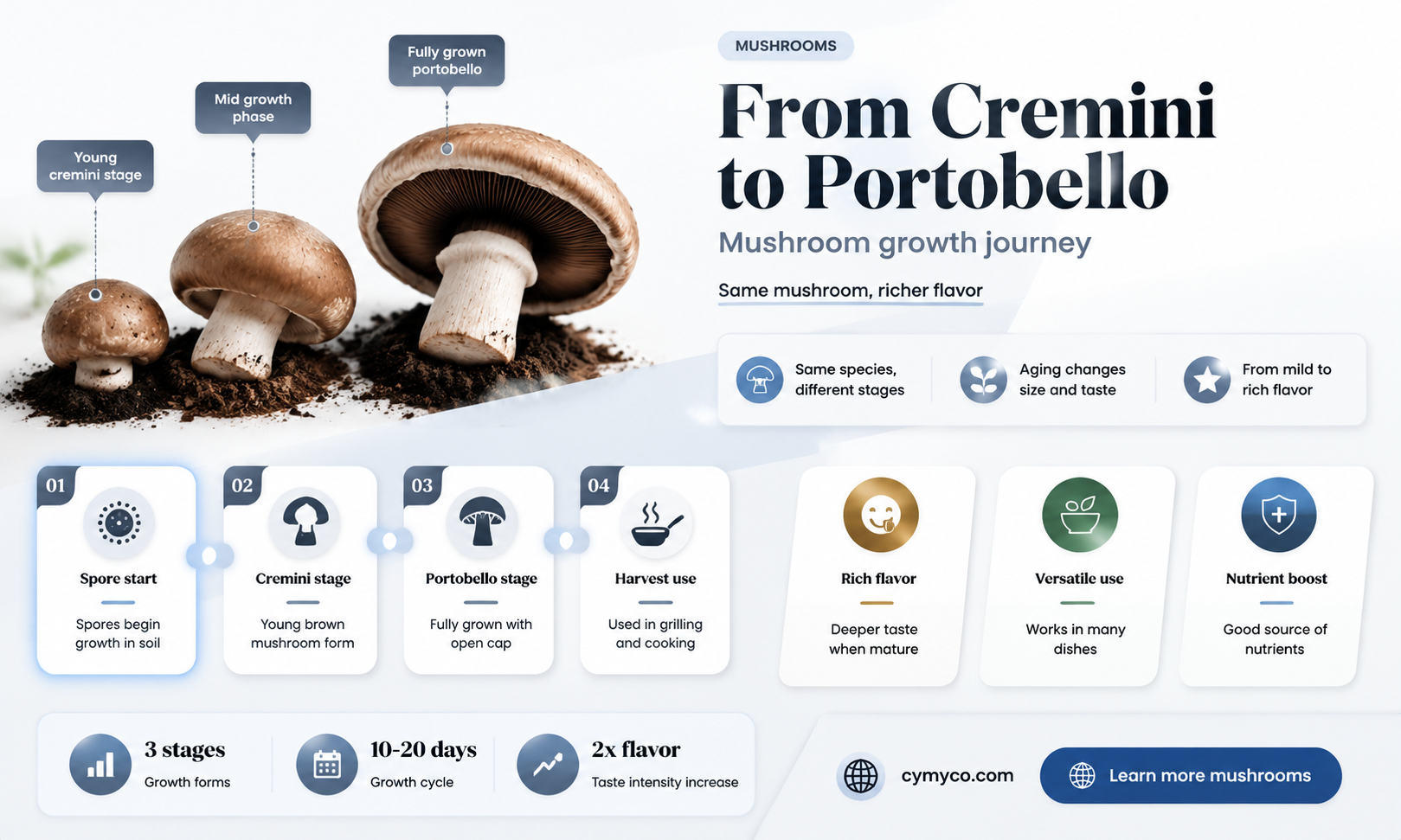 is a cremini mushroom a portobello