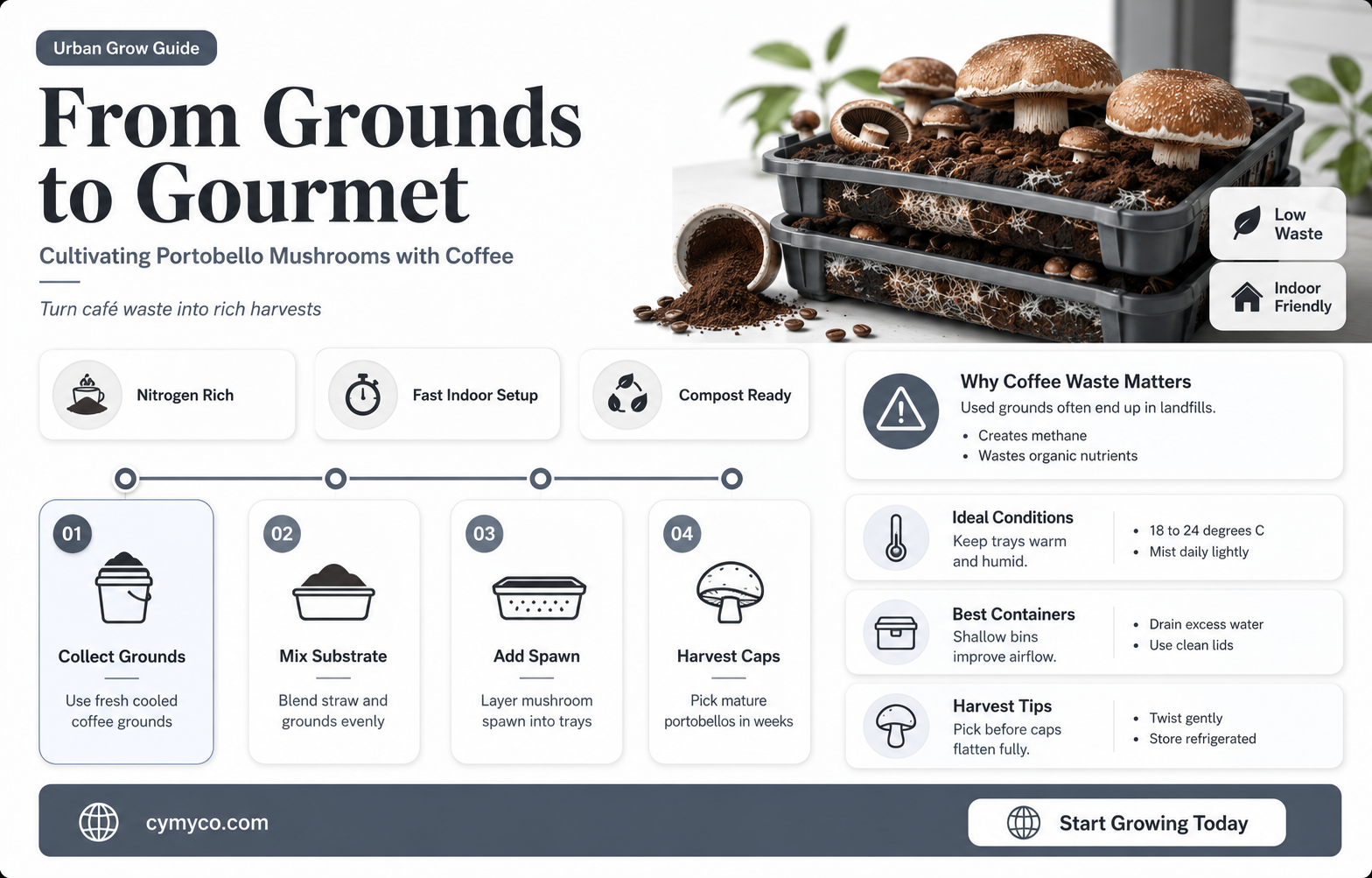 can you use coffee grounds to grow portobello