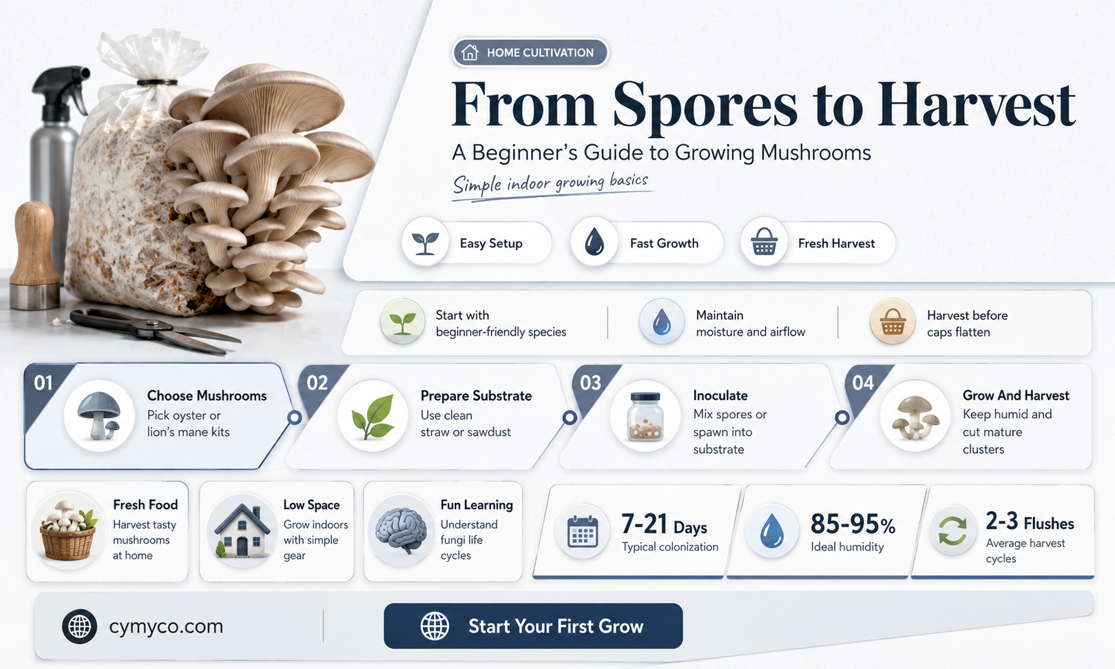 how do you grow mushrooms from spores