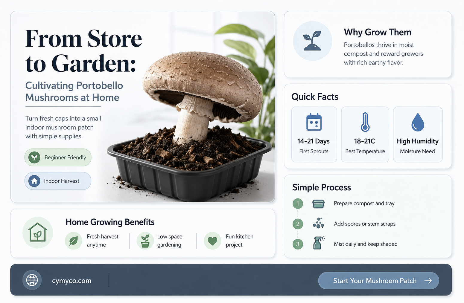 can you grow portobello mushrooms from store bought
