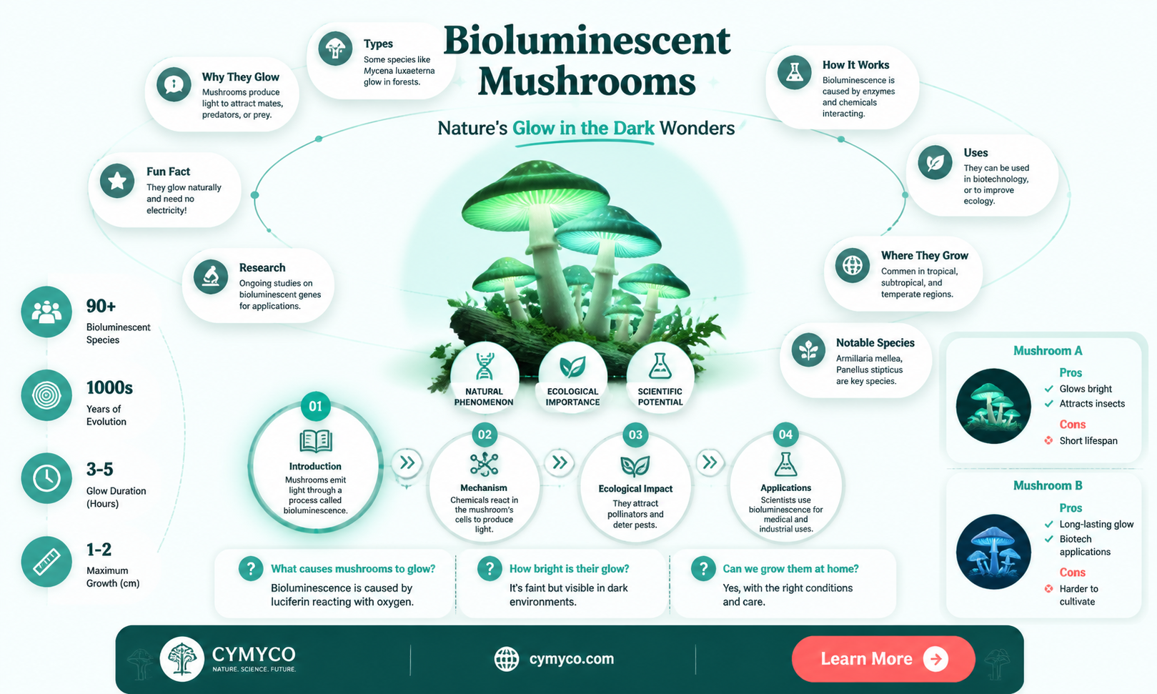 how do mushrooms use bioluminescence