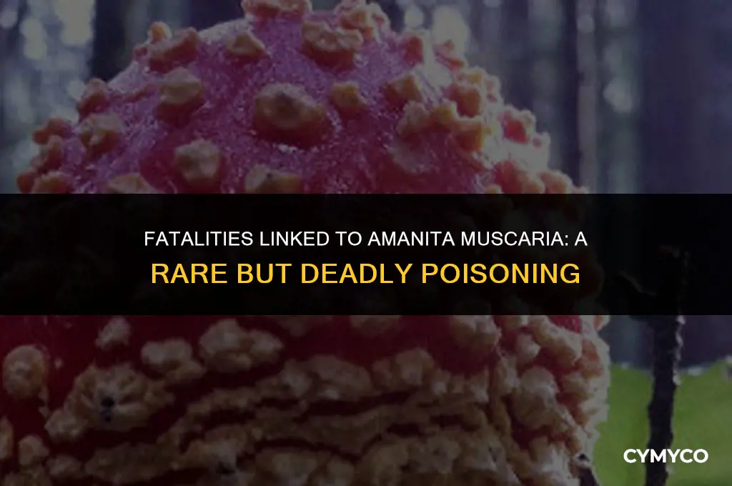 has anyone died from amanita muscaria