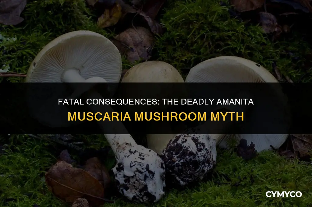 has anyone died from eating amanita muscaria