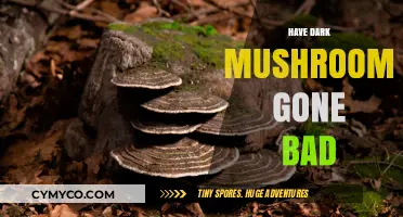 Decoding the Shelf Life: Are Your Dark Mushrooms Still Safe to Eat?