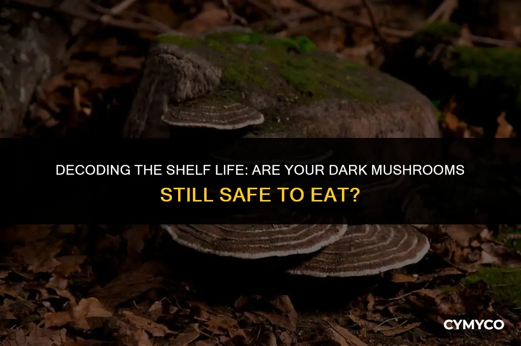 have dark mushrooms gone bad