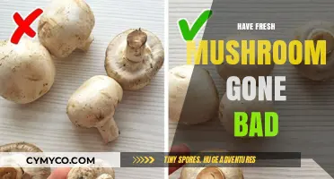Decoding Freshness: A Guide to Mushroom Shelf Life and Safety