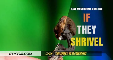 Shriveled Mushrooms: A Sign of Spoilage or Safe to Eat?