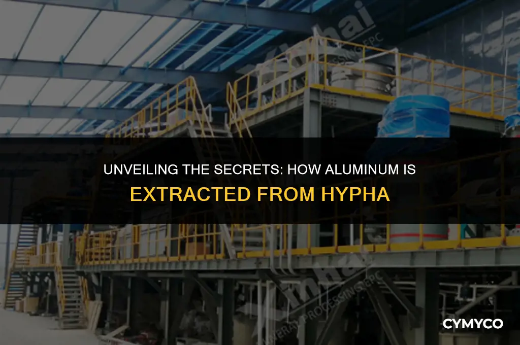 how aluminum taken from hypha