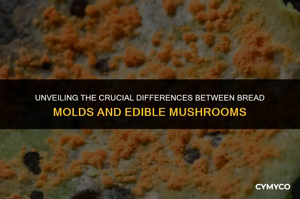 how are bread molds different from edible mushrooms