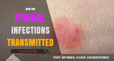 Understanding the Spread: How Fungal Infections Are Transmitted